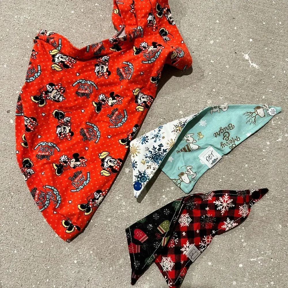 Cat bandana (2) and sweater